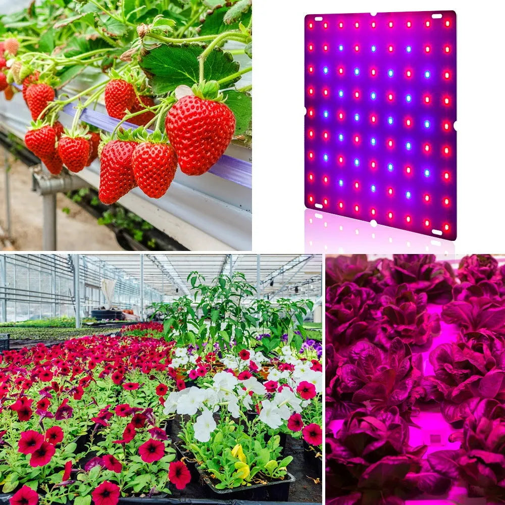 Silver aluminium plant growing light with LED beads and a mounting hook for indoor fruit and vegetable cultivation