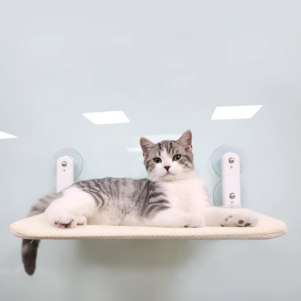 Foldable cat hammock with stainless steel suction cups attached to a window, shown in beige mesh.