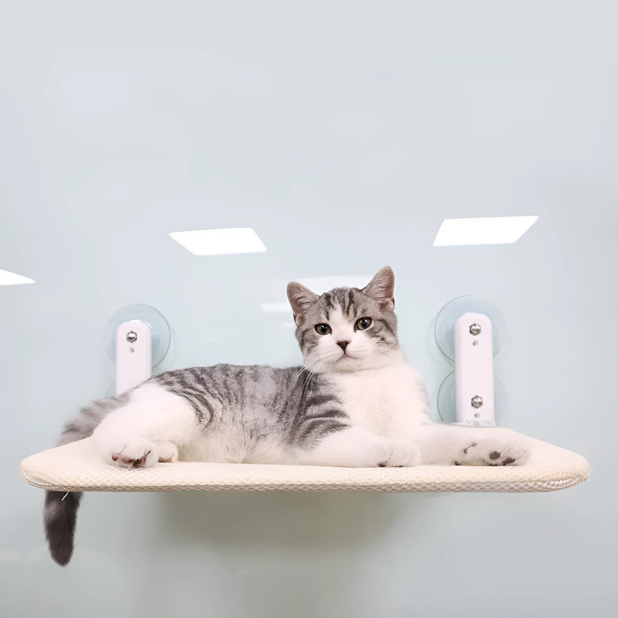 Foldable cat hammock with stainless steel suction cups attached to a window, shown in beige mesh.