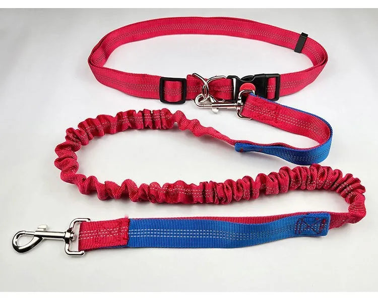 Reflective elastic dog leash in grey and green colour combination measuring 2.5cm wide