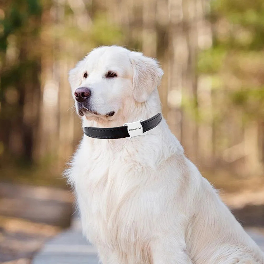 Smart pet GPS locator in white or black, collar-mounted ABS tracker measuring 45 x 33mm and weighing 10g