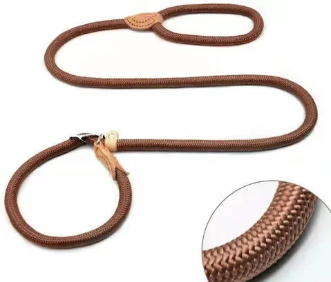 Brown nylon P chain hand holding dog leash showing 2.1 metre length and thickness options