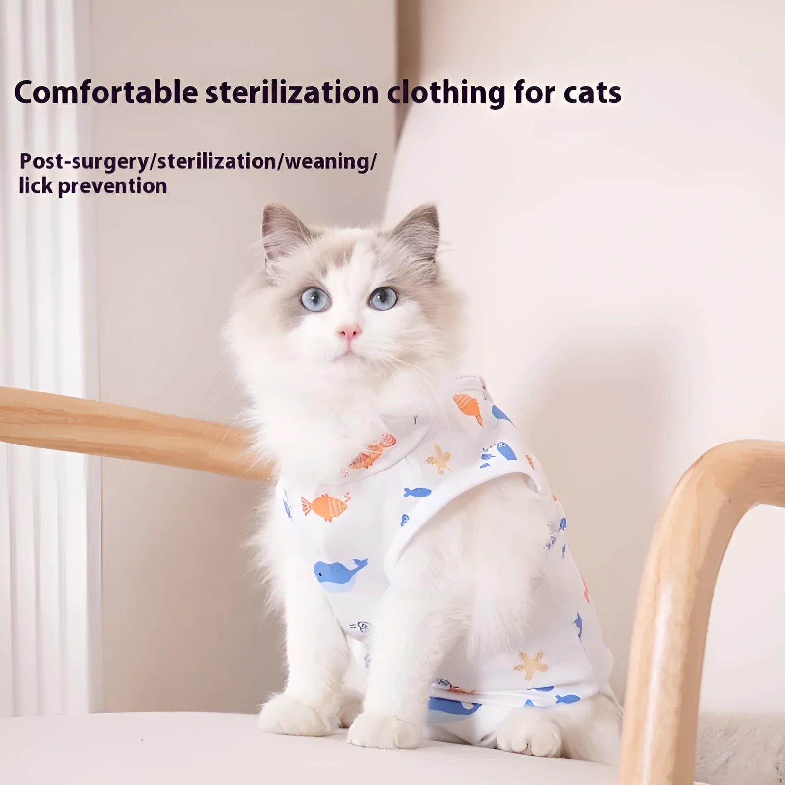 Cat wearing a blue patterned post-surgery sterilization recovery suit with Velcro closures.
