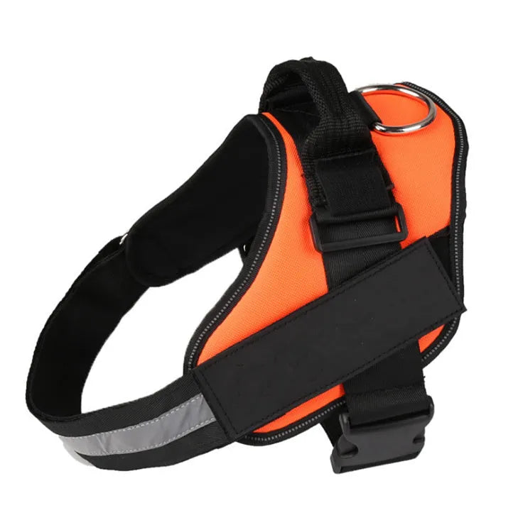 Adjustable nylon dog harness with reflective strips and a sturdy handle on a dog.