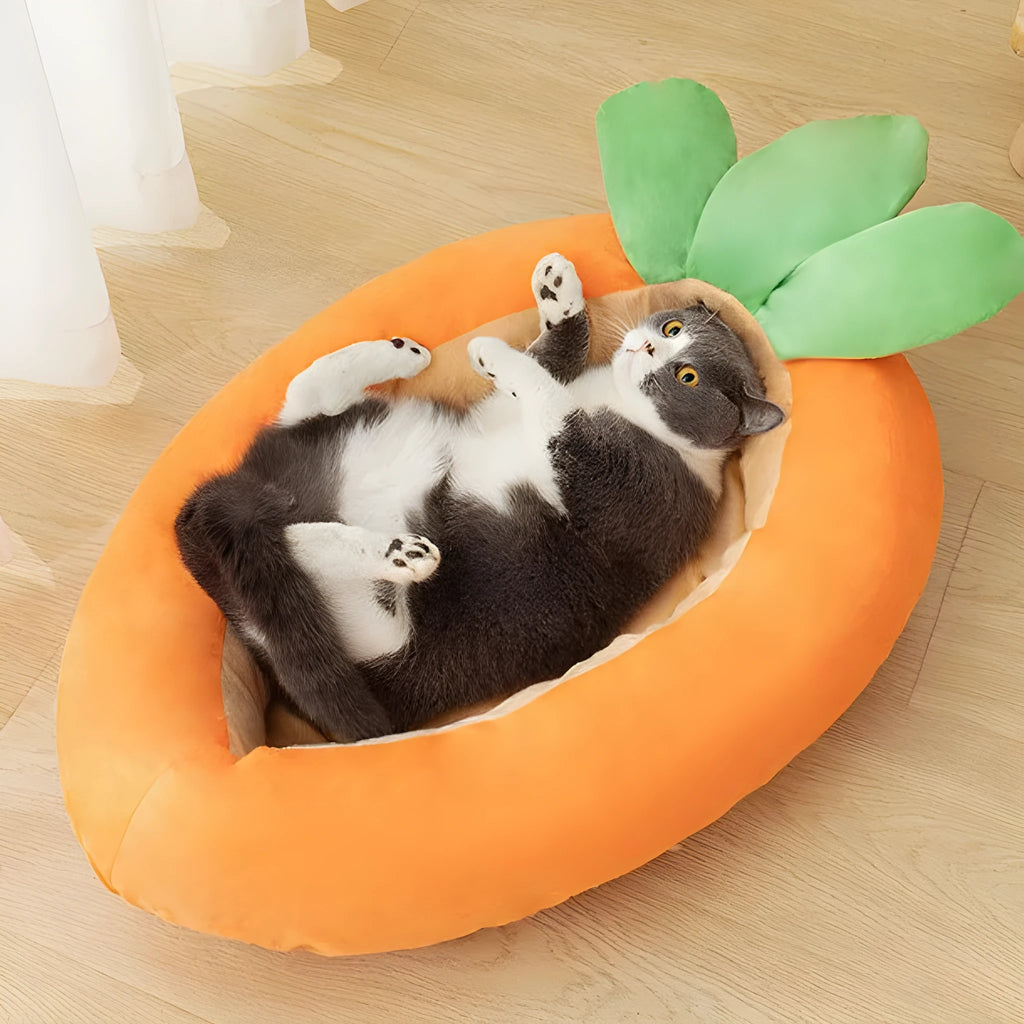 Carrot-shaped double-sided dog mattress with removable washable cloth cover