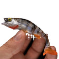 Fish T tail soft fishing lure with realistic fish pattern design for sea and freshwater fishing