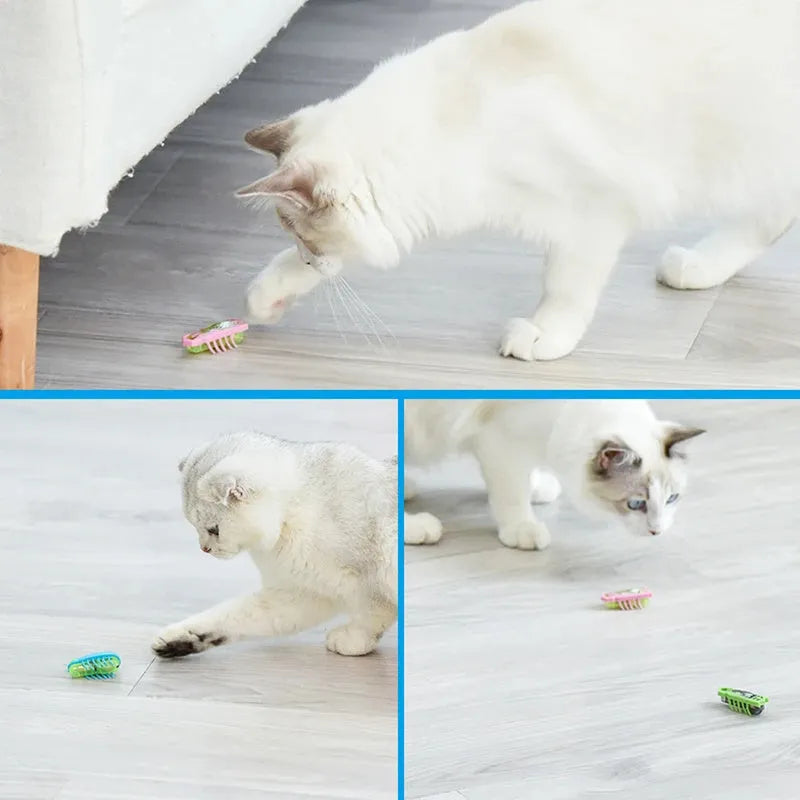 Small red ladybird-shaped electric cat toy with multiple legs on a hardwood floor