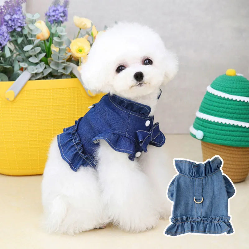 Blue denim vest dress for dog with ruffle trim and metal leash hook on chest.