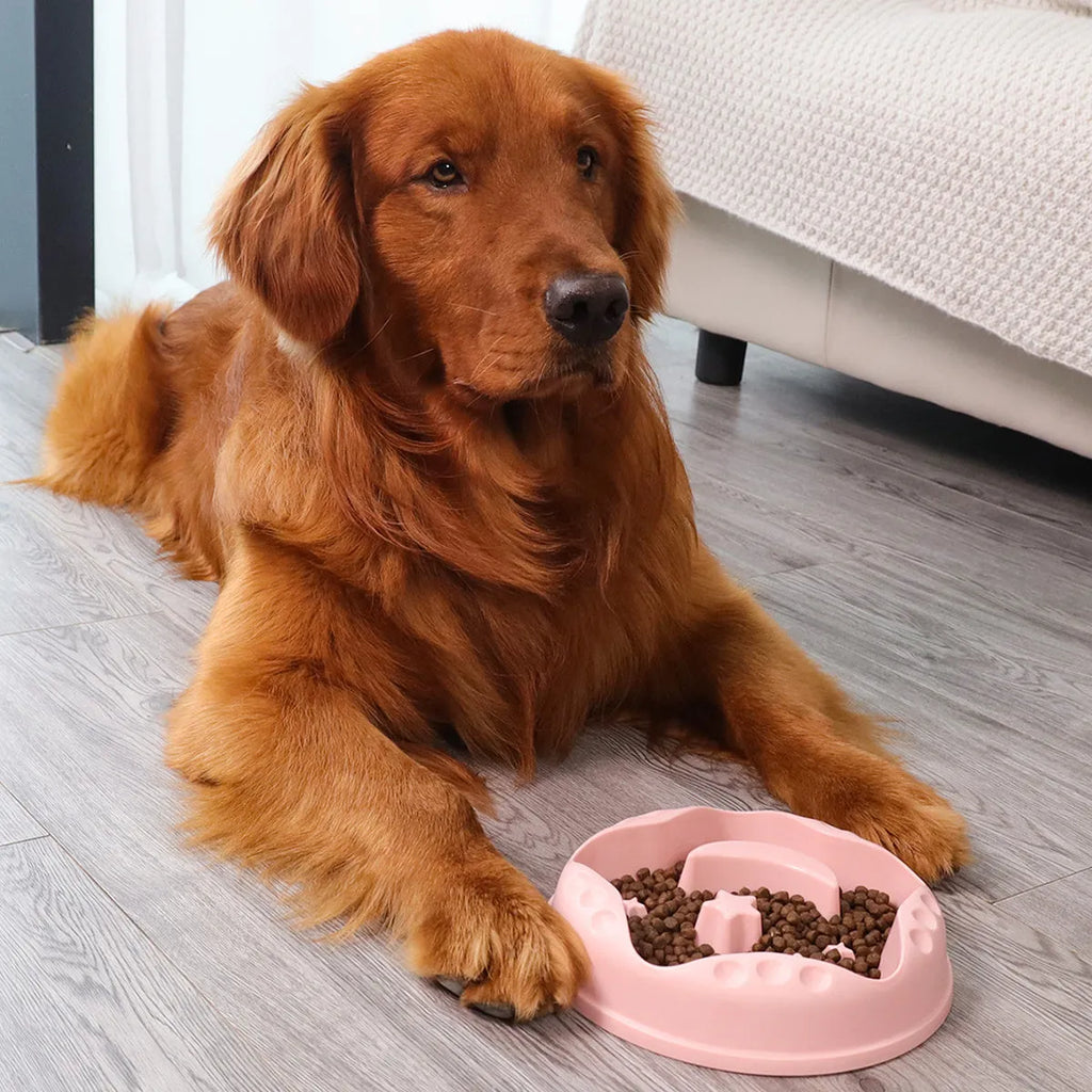 Moon, star, and wing-shaped slow feeder dog bowl in selected colour, showing large capacity food and water design.