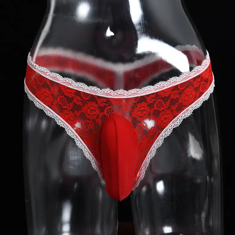 Men's lace underwear briefs with vertical bag egg design and penis cover in triangle cut