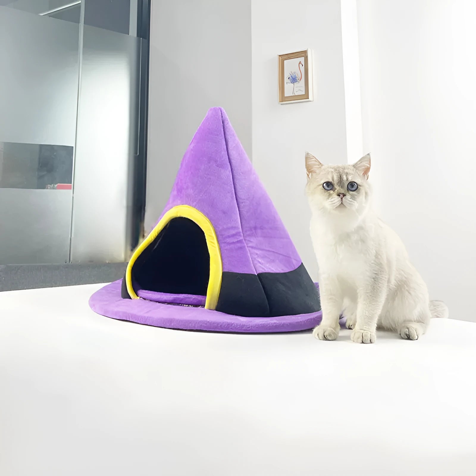 Purple Halloween witch hat shaped cat bed with enclosed cave design