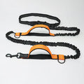 Adjustable nylon dog leash for jogging and walking, one size, in fluorescent green, orange, or light blue