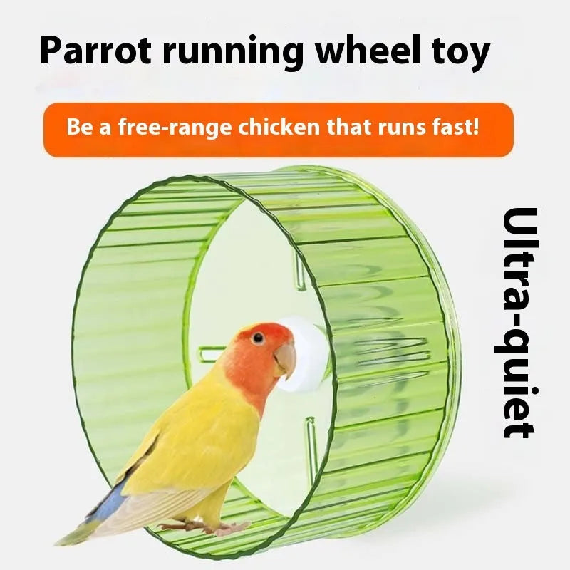 A transparent plastic parrot running wheel toy, showing its circular treadmill design for bird cage exercise.