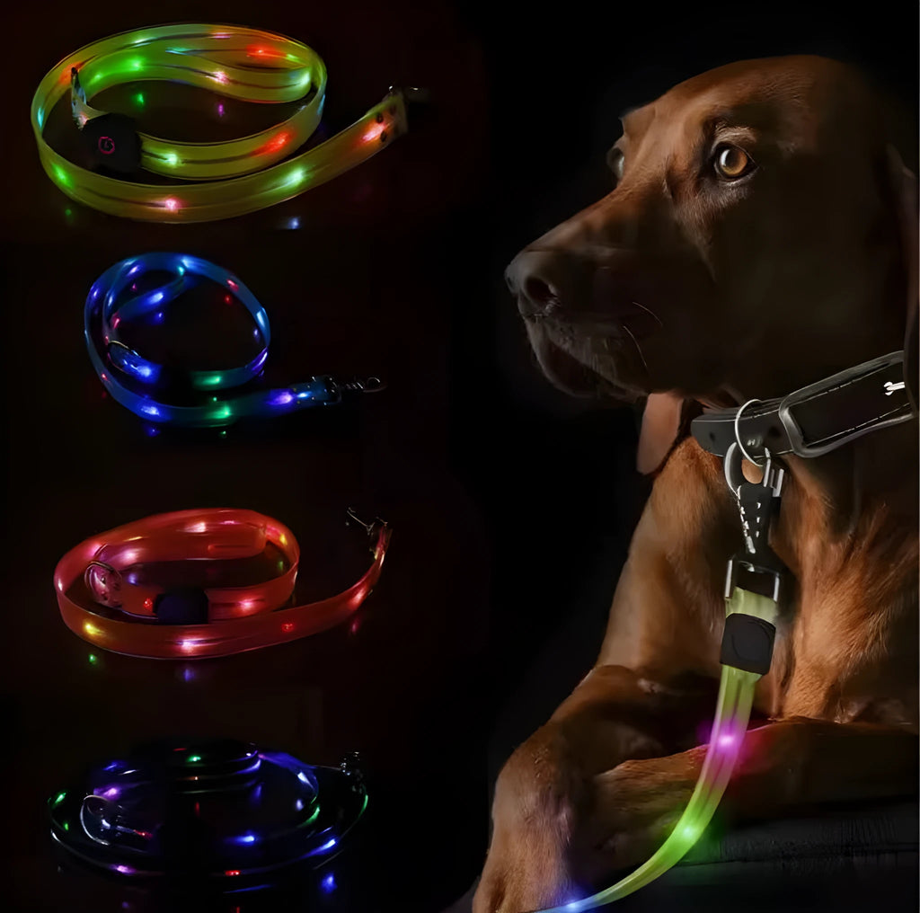 Luminous PVC dog leash in fluorescent green with hand loop, 120cm length