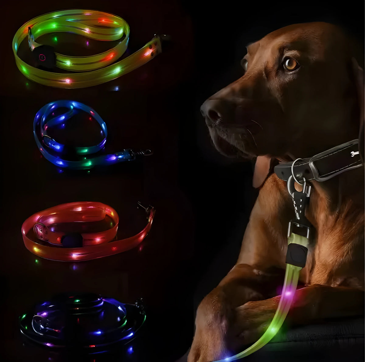 Luminous PVC dog leash in fluorescent green with hand loop, 120cm length