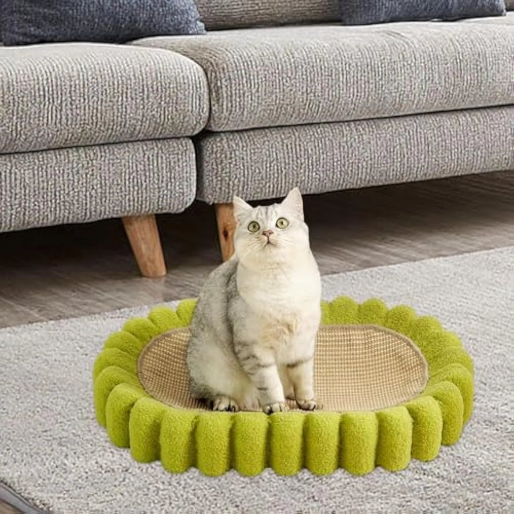 Green oval-shaped cat scratcher pad with sisal surface serving as a scratching area and cat bed.
