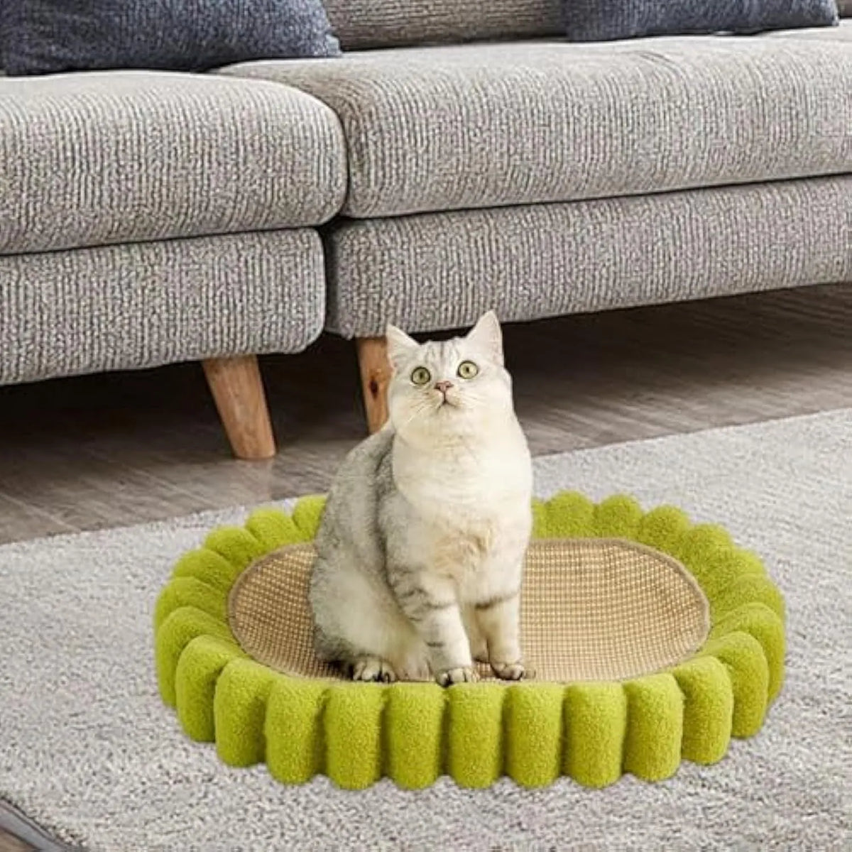 Green oval-shaped cat scratcher pad with sisal surface serving as a scratching area and cat bed.