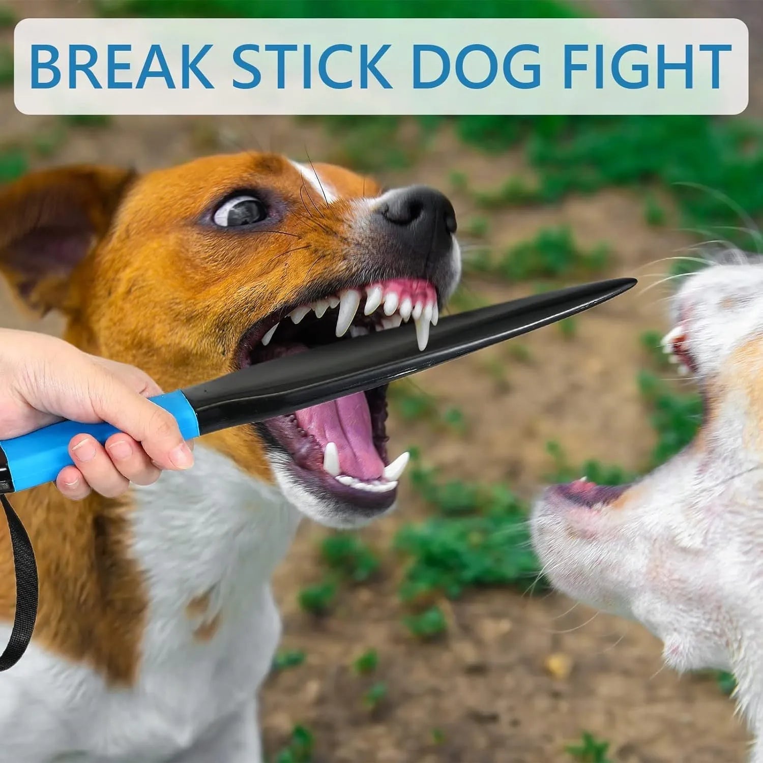 Blue handled nylon dog bite training stick on a white background, 35cm in length.