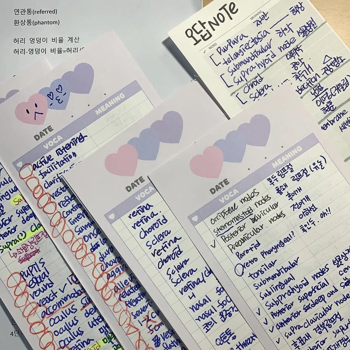 Vertical format notepad with blue cover showing B5 half dimensions and double-sided printing capability