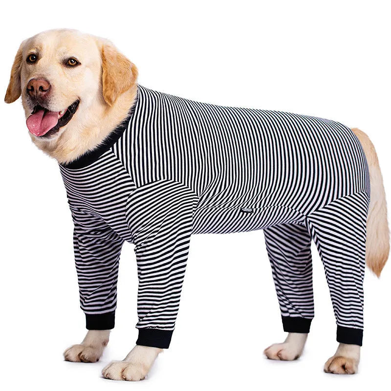 Striped four-legged dog shirt on Golden Retriever, available in sky blue, black dark blue stripe and brown colours
