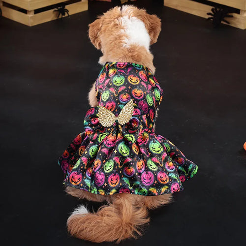 Halloween dog costume with angel wings in bright pumpkin colour, size medium