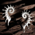 Alloy conch stud earrings with three-dimensional irregular design and matte electroplated finish