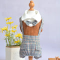 Cotton dog suit shirt in dark blue or orange colour options