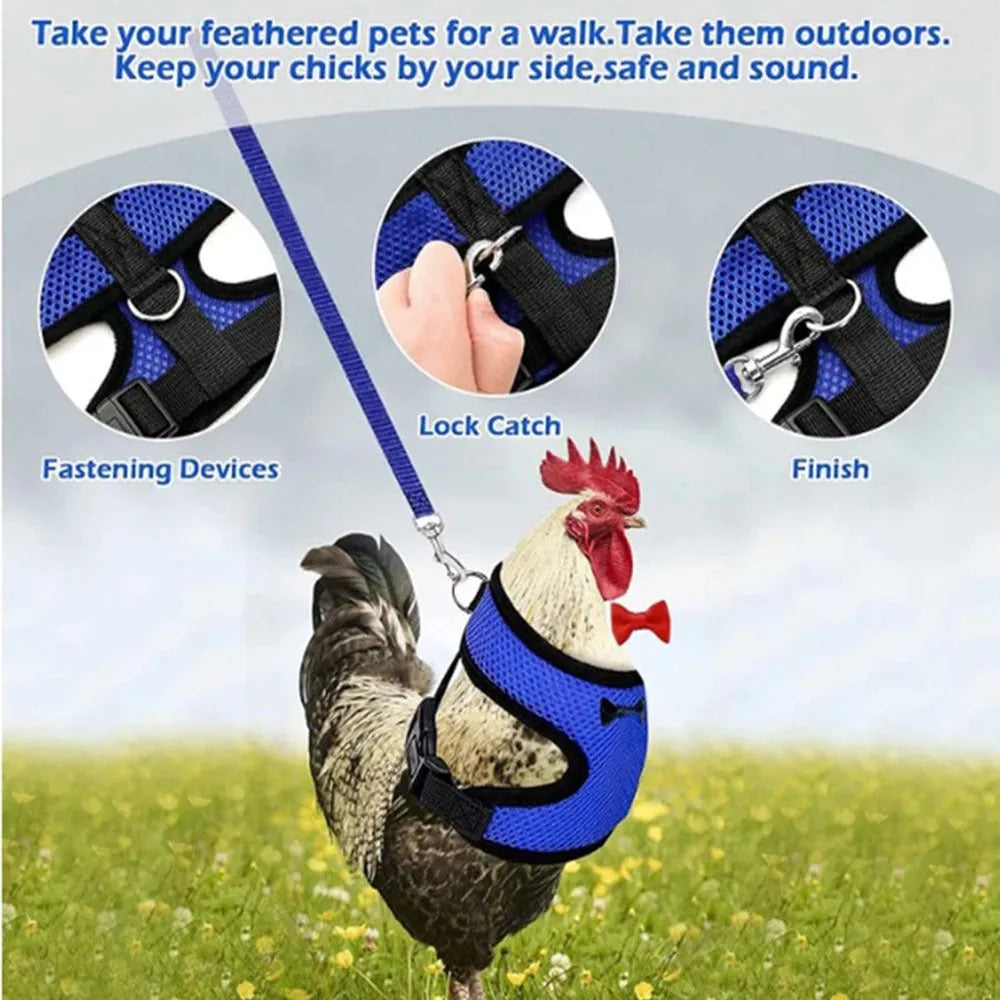 Adjustable chicken vest harness with matching bow collar and traction rope for poultry