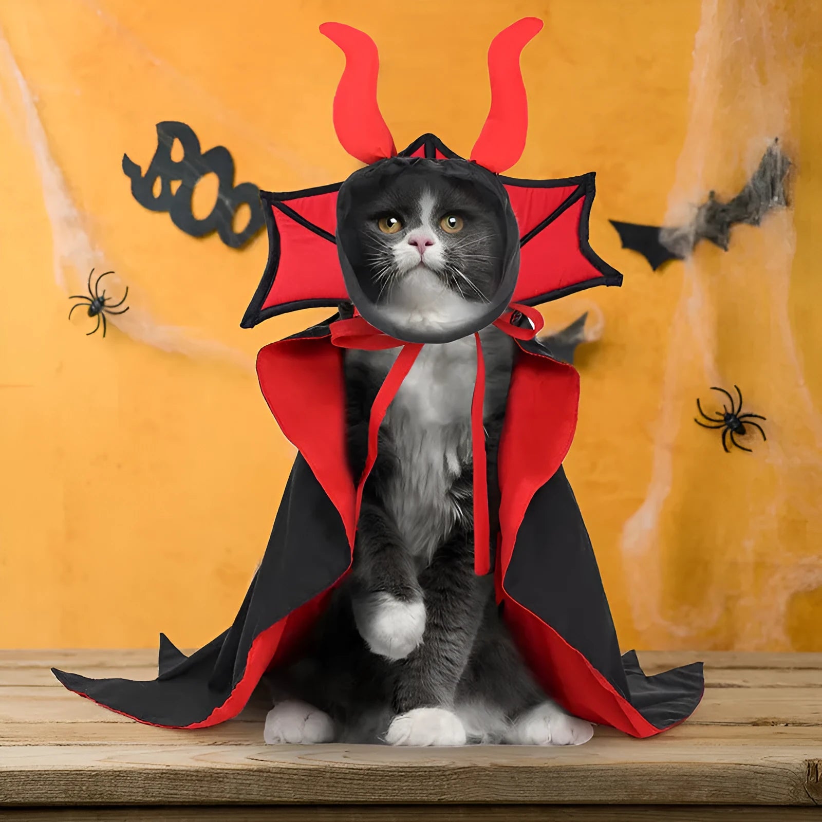 Black polyester vampire cloak and hat costume for small dog or cat
