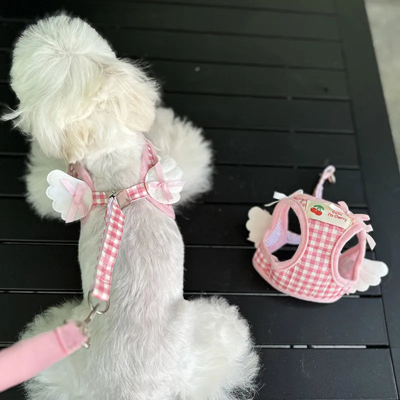 Small dog wearing pink cotton chest and back harness with hand holding rope attachment