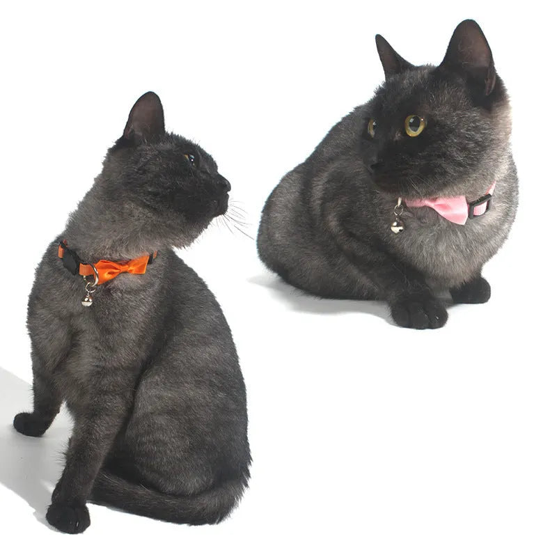 Adjustable cat bow collar with bell in striped nylon, multiple colour options shown