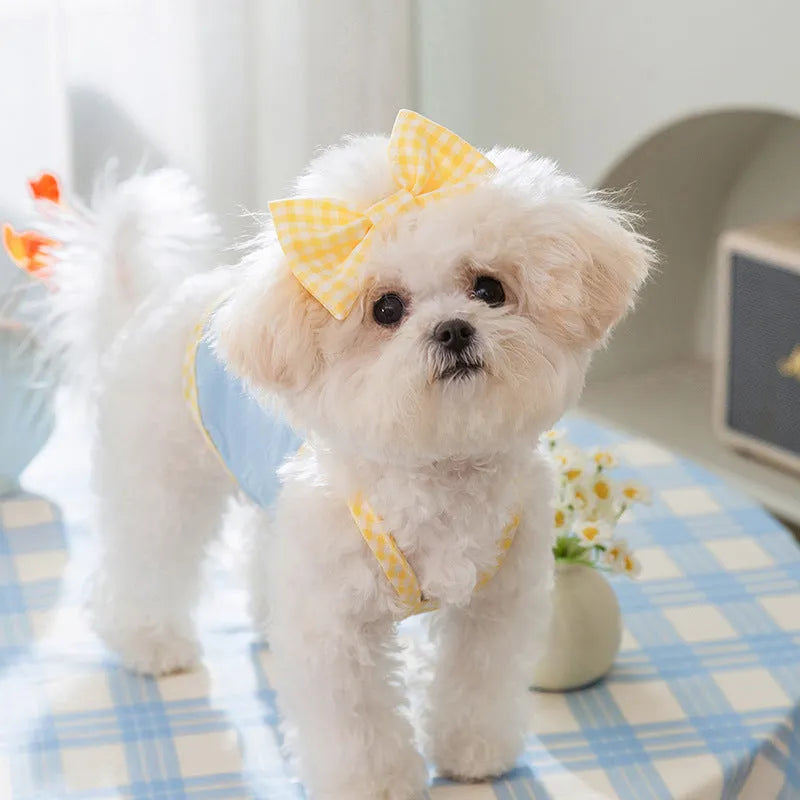Small dog wearing blue elastic vest with heart pattern and bow suspenders