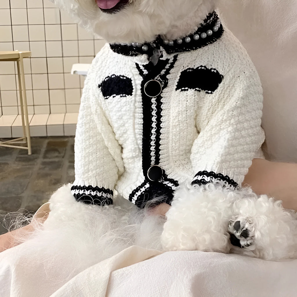 Korean style puppy sweater with princess collar in white colour on small dog model