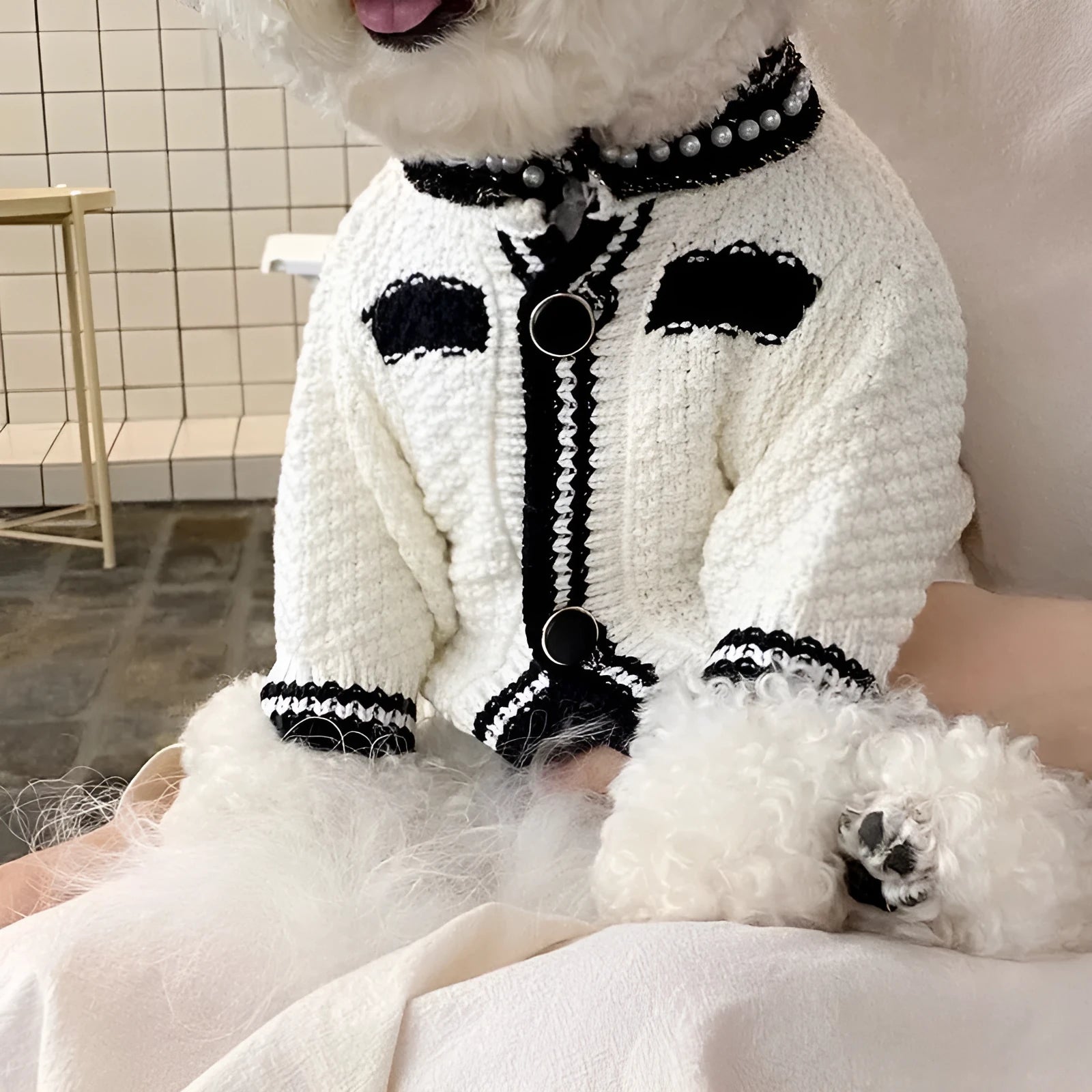 Korean style puppy sweater with princess collar in white colour on small dog model