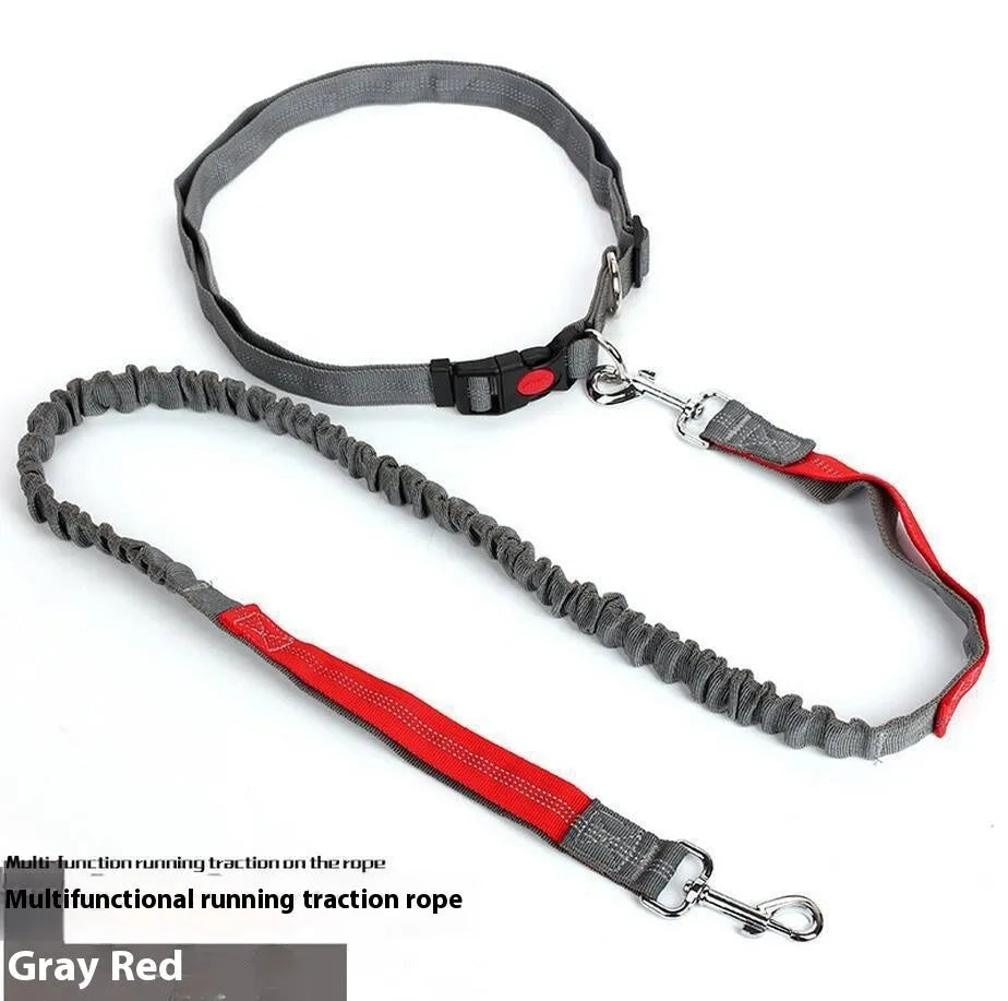 Reflective elastic dog leash in grey and green colour combination measuring 2.5cm wide