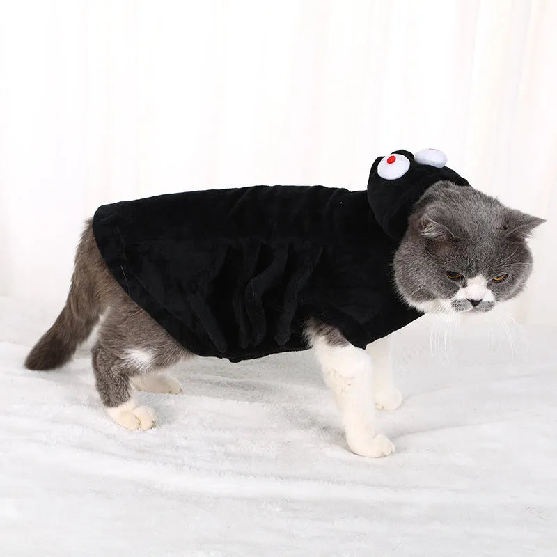 Black spider web pattern dog costume showing front view on pet