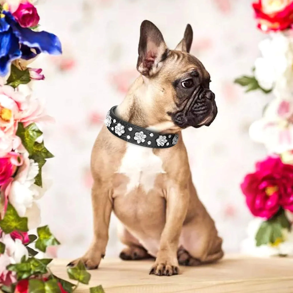 Soft black PU leather dog collar with a sparkling rhinestone flower pattern and silver metal studs, showing the adjustable eyelets and D-ring.