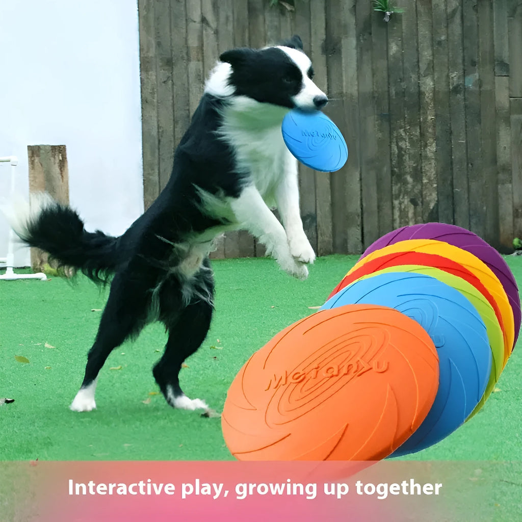 Soft rubber dog frisbee toy in blue colour for outdoor fetch games