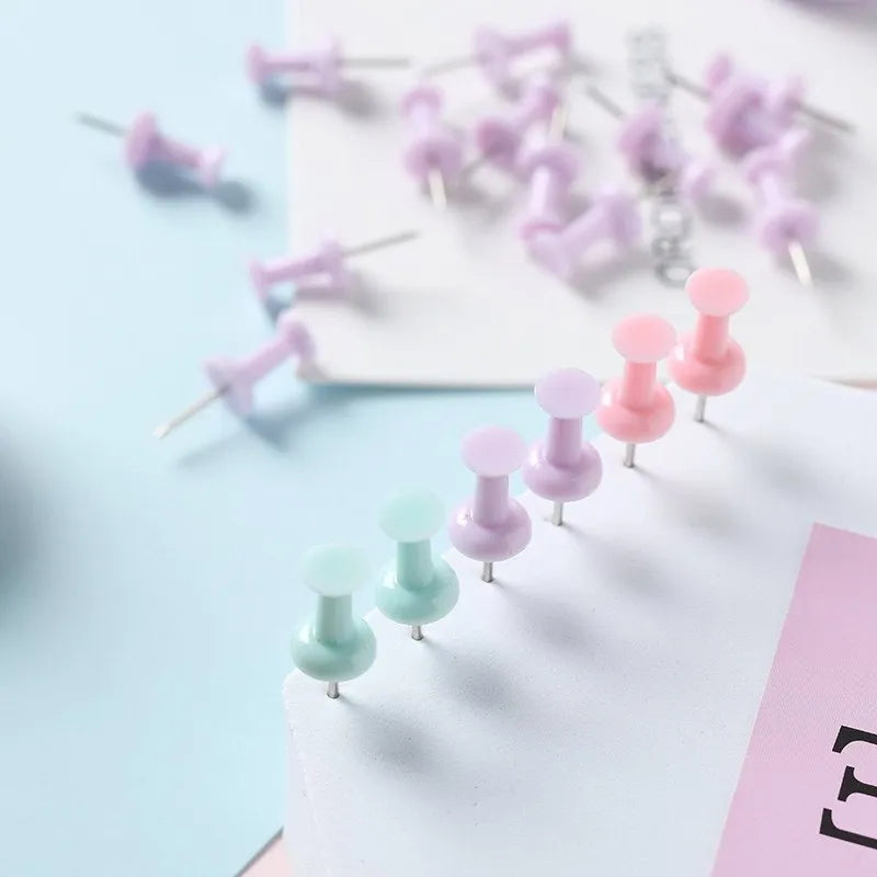 Box of colourful plastic push pins in cherry blossom pink, mint green and lavender macaron colours