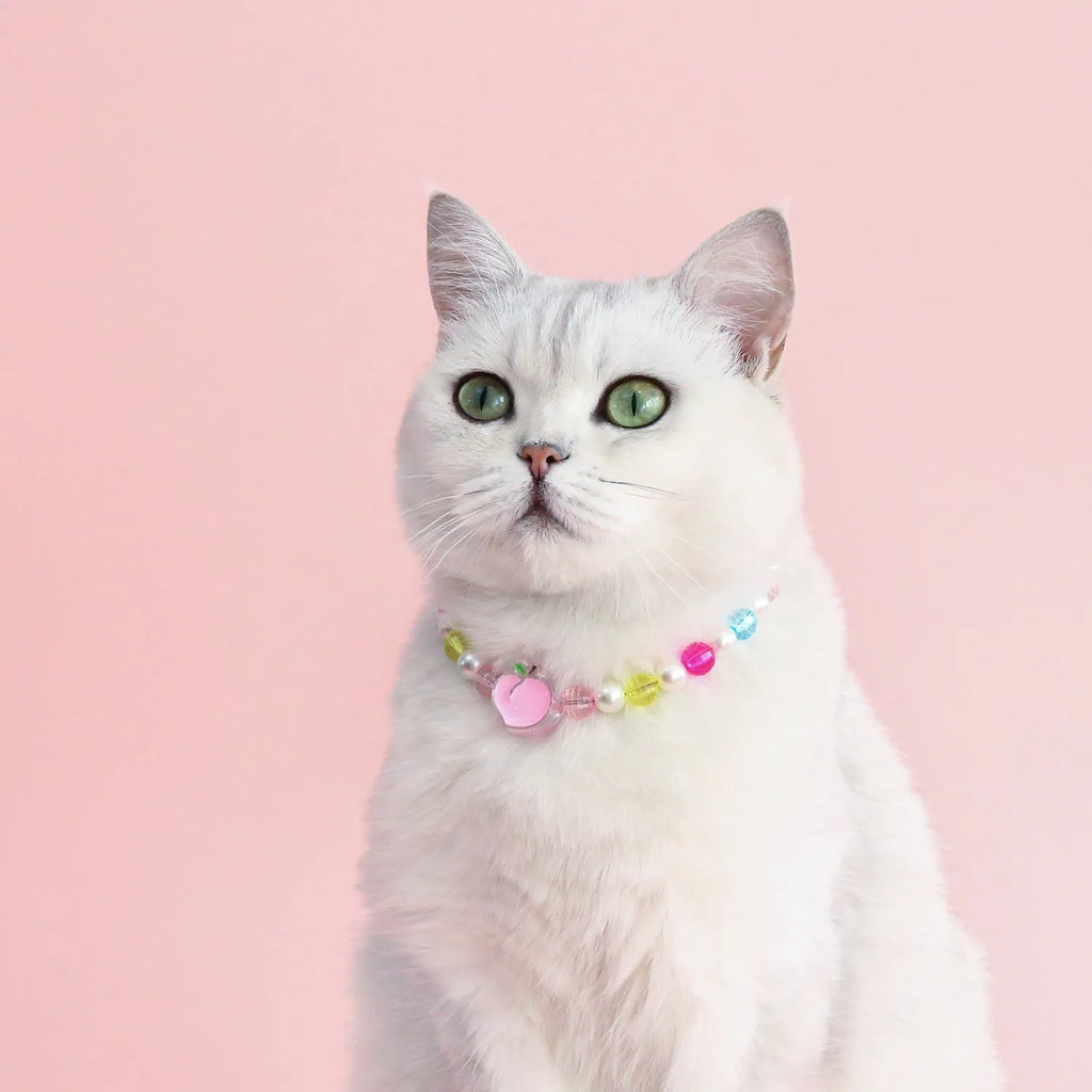 Colourful plastic bead pet necklace with small flower design on a adjustable strap.